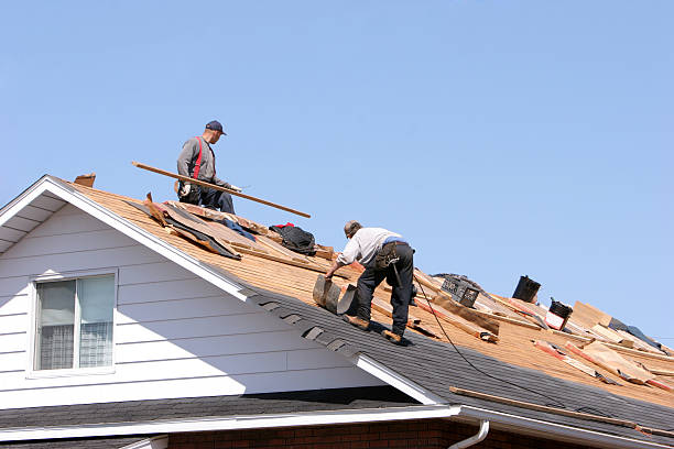 Best Green or Eco-Friendly Roofing Solutions  in South Paris, ME